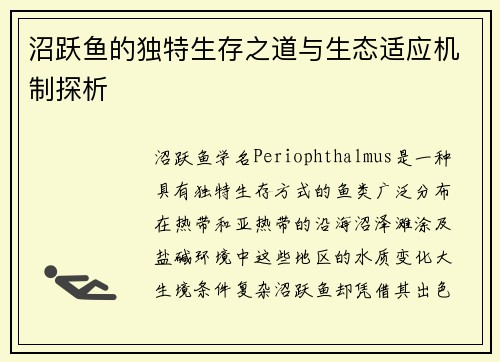 沼跃鱼的独特生存之道与生态适应机制探析